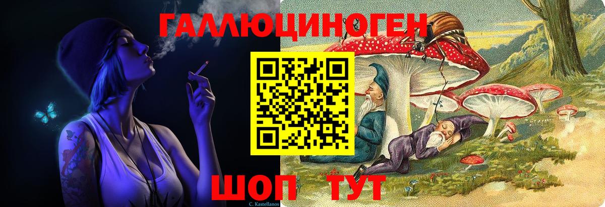 Курчатов  Галлюциногенные грибы Magic Shrooms  Вход с VPN 