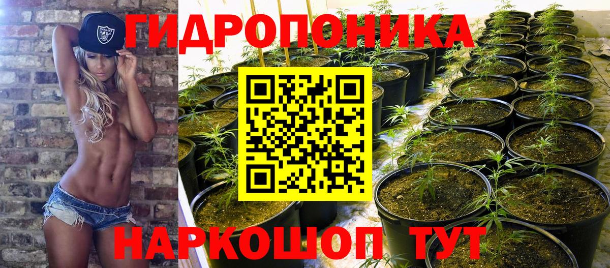 Шишки марихуана марихуана Курчатов